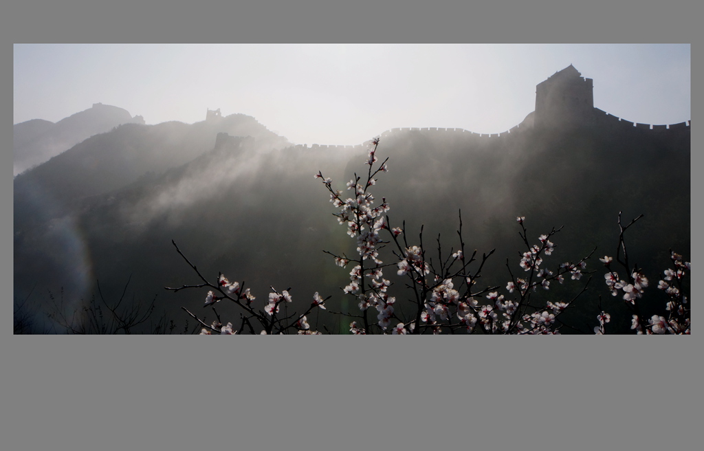 花开金山岭 摄影 静沁