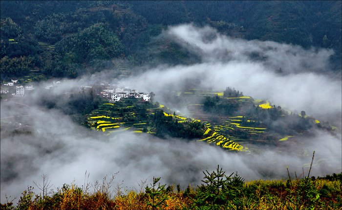 雾绕山村 摄影 善缘若水