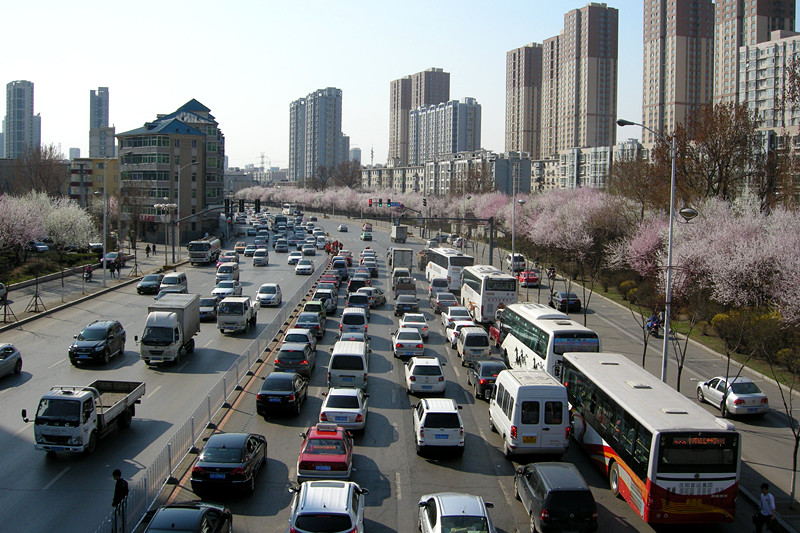 在那桃花盛开的地方 摄影 在此