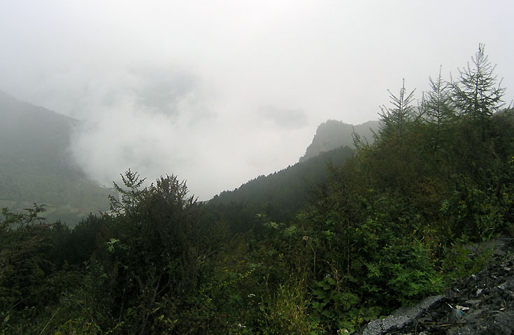 路上的风景 摄影 紫色女人