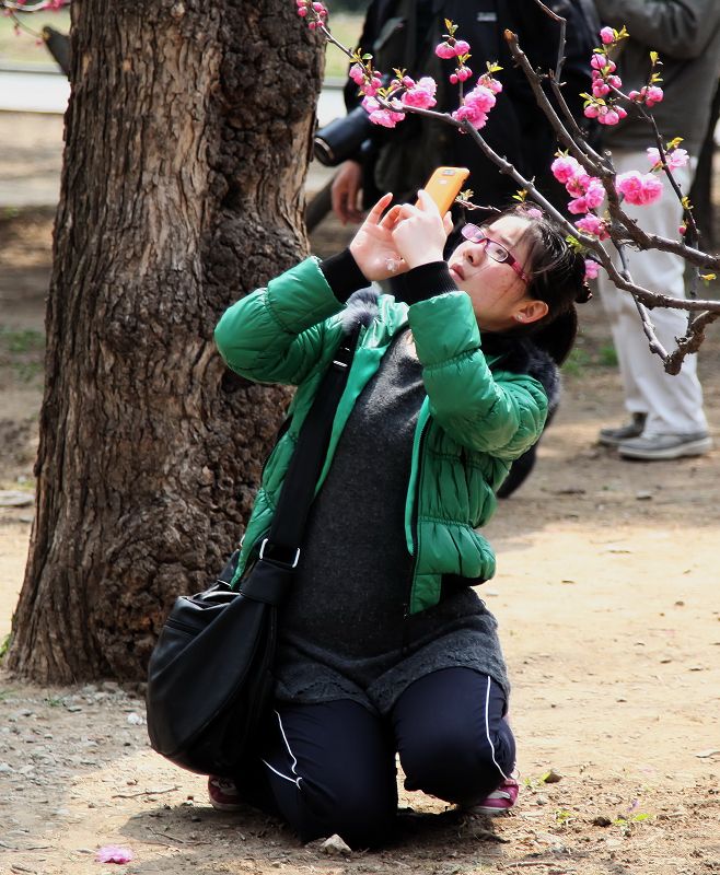 “同花”顺 摄影 凡星满天