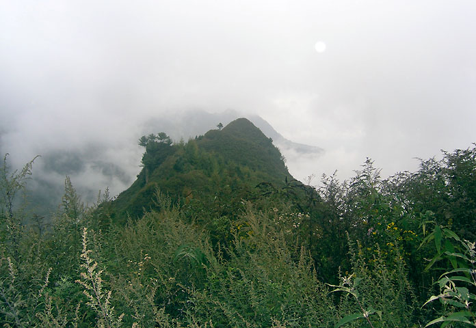 路上的风景 摄影 紫色女人