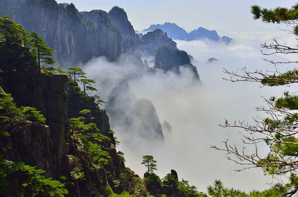 黄山 摄影 浪士