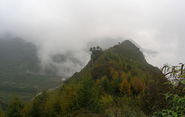 路上的风景 摄影 紫色女人