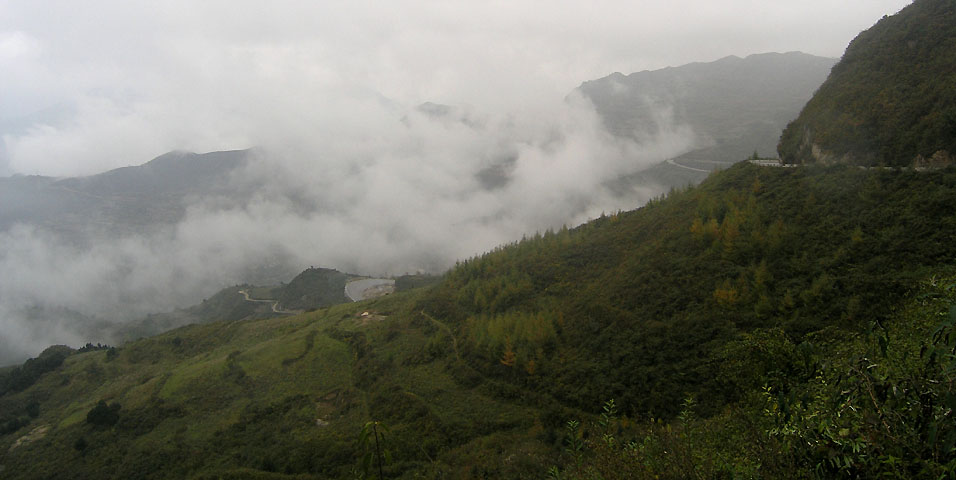 路上的风景 摄影 紫色女人