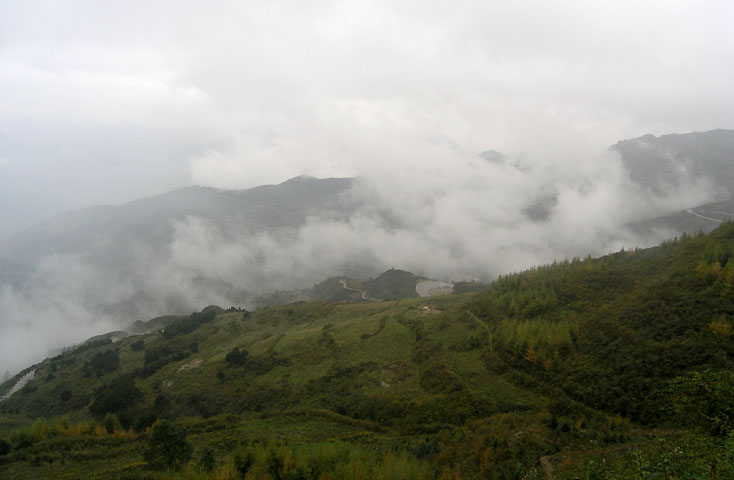 路上的风景 摄影 紫色女人