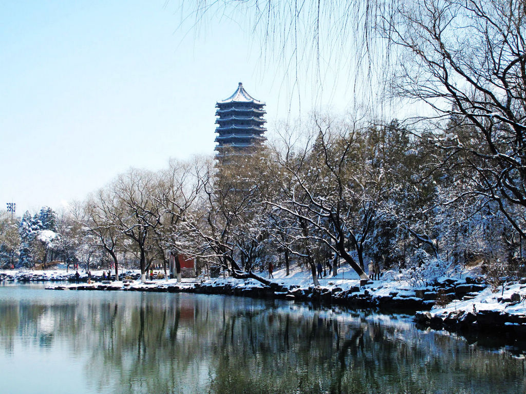 燕园春雪 摄影 京城仙翁