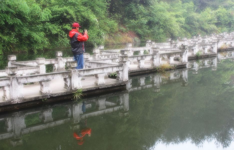 雨意朦胧 摄影 大可也