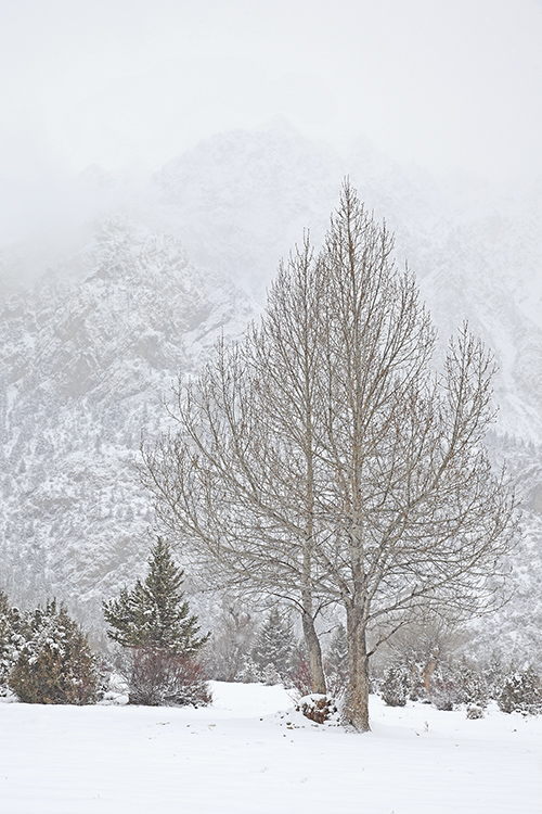 空  灵 摄影 岷山雪