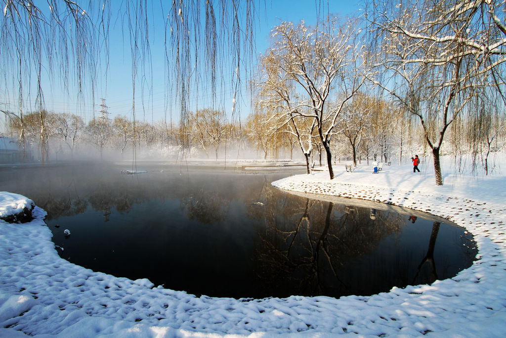 北京春雪 摄影 京城仙翁