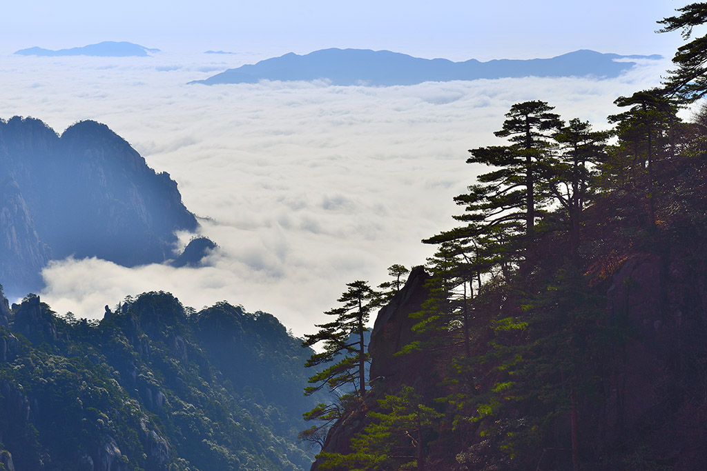 黄山 摄影 浪士