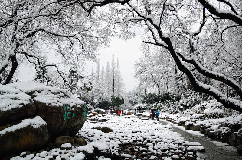 江南雪 摄影 阿乐