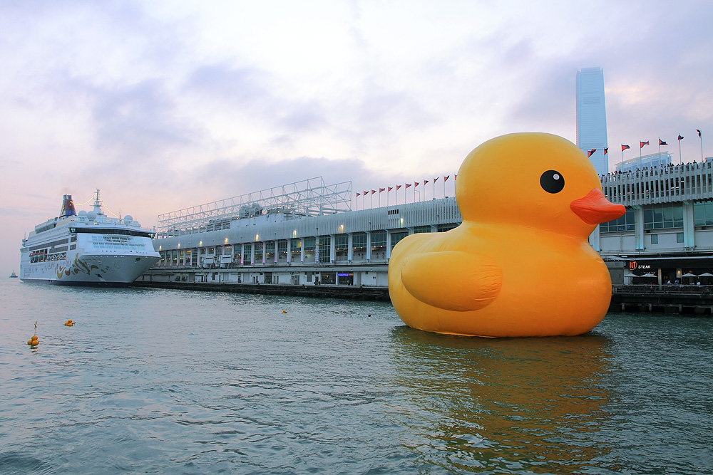 Rubber Duck 摄影 bbqq