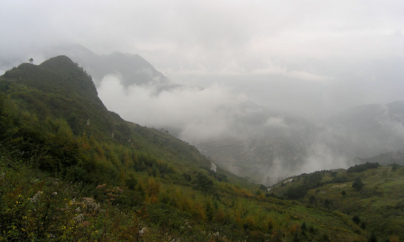 路上的风景 摄影 紫色女人