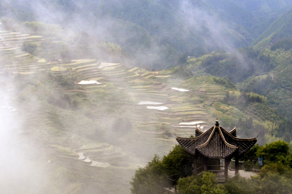 云雾山中 摄影 山野归来