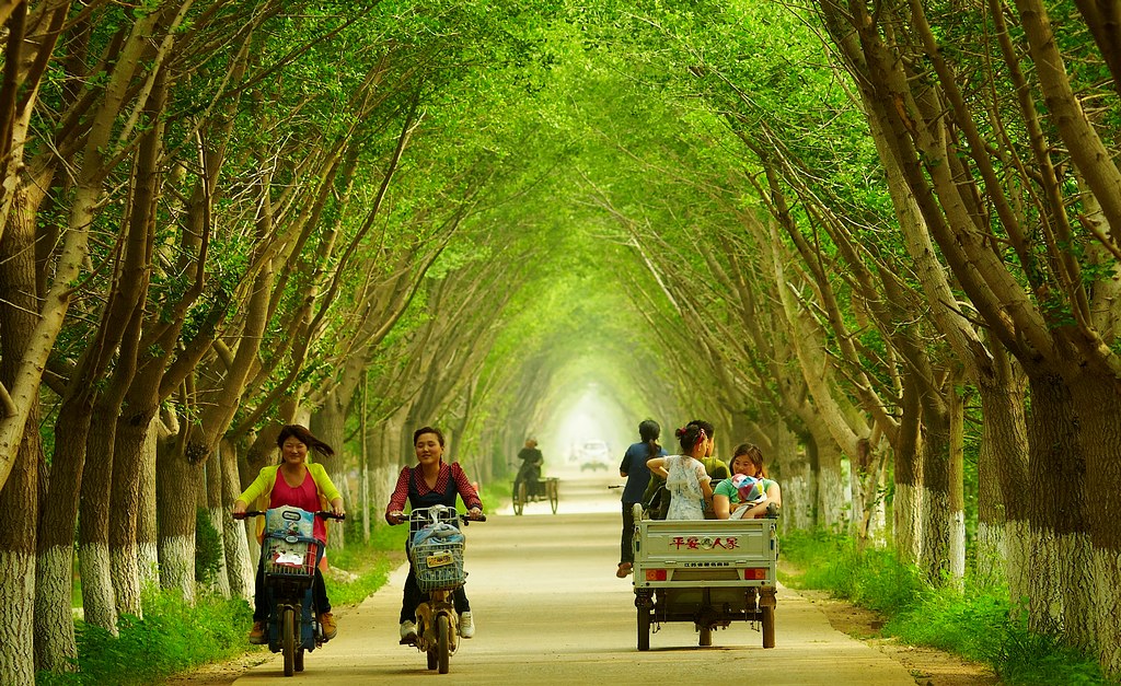 乡间的小路 摄影 老土狼