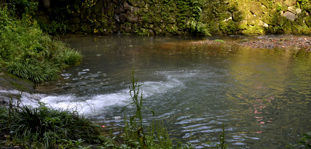 小溪 摄影 山野归来