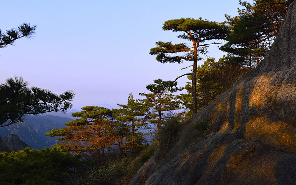 黄山 摄影 浪士