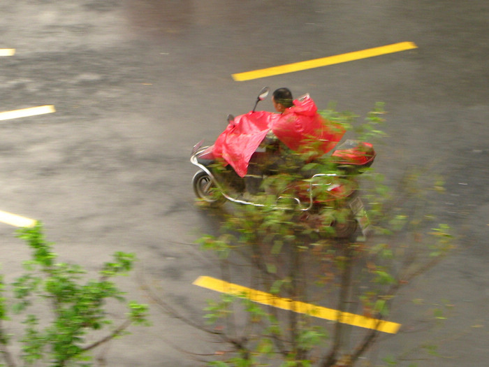 下雨了！ 摄影 人生自有路