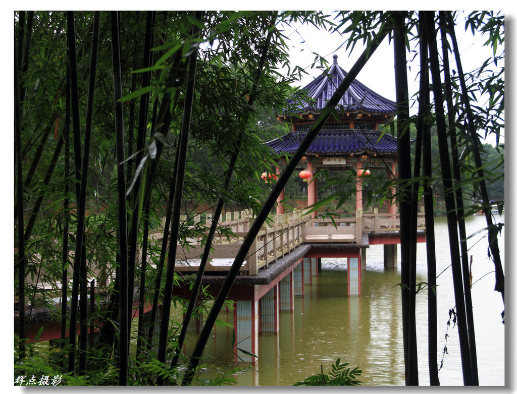 雨中小景1 摄影 辉点