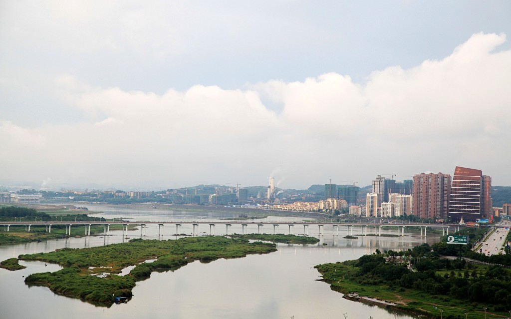 雨后 摄影 灵蔺