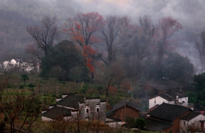 山村晨景 摄影 申影