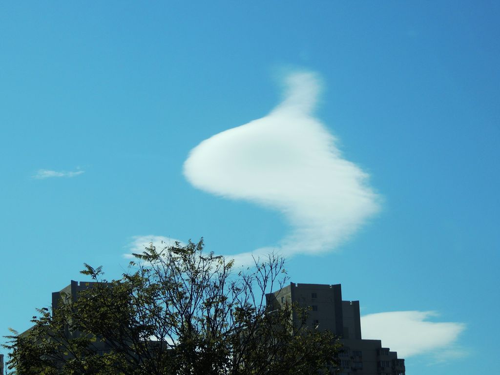 天空之美（10） 鱼游蓝天 摄影 馨玉