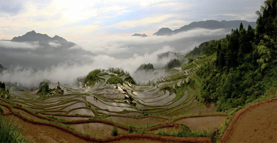 梅园梯田全景 摄影 山野拜月