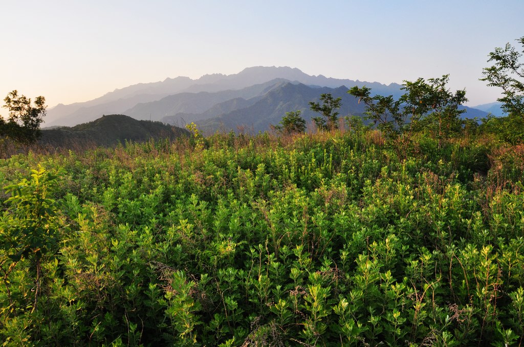 大秦岭汤峪 摄影 阳光灿烂中