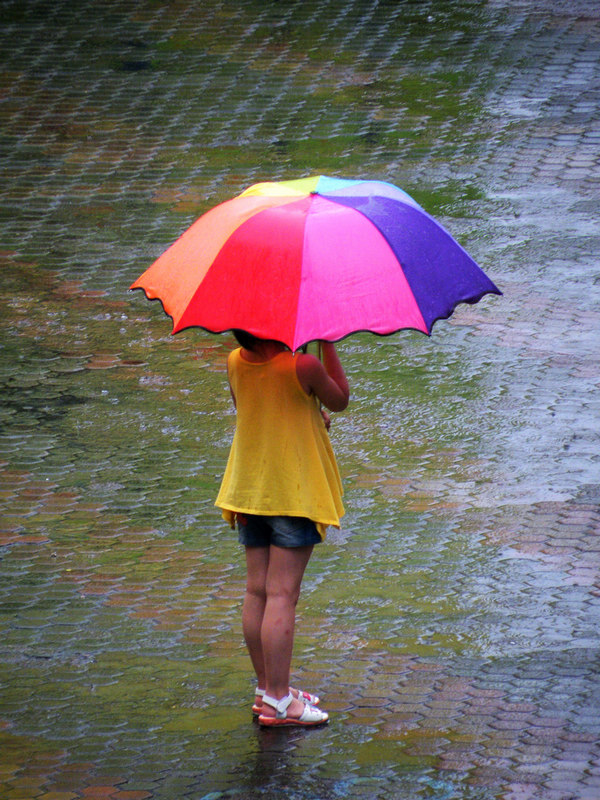 在雨中 摄影 达士