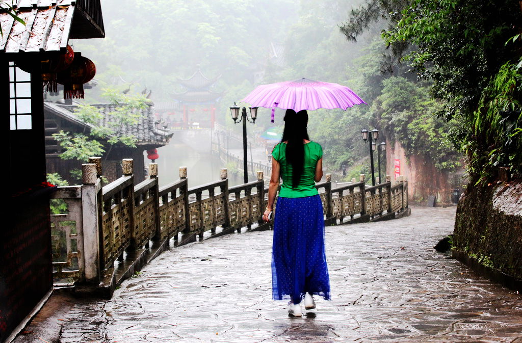 在雨中 摄影 沧海一粟548