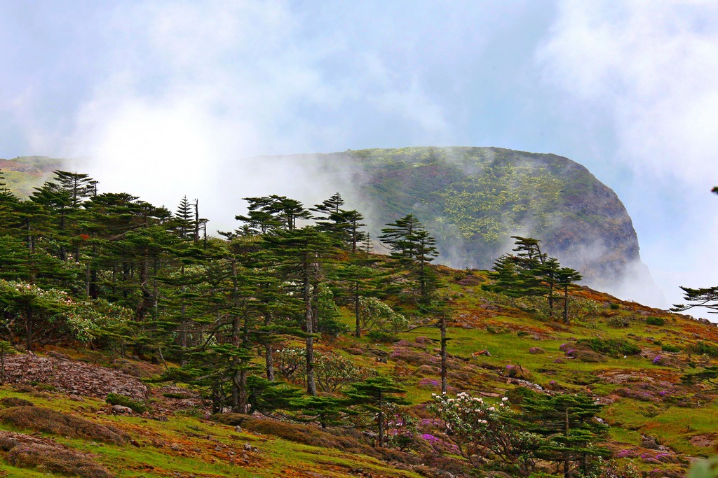 轿子山-2 摄影 孤山观海