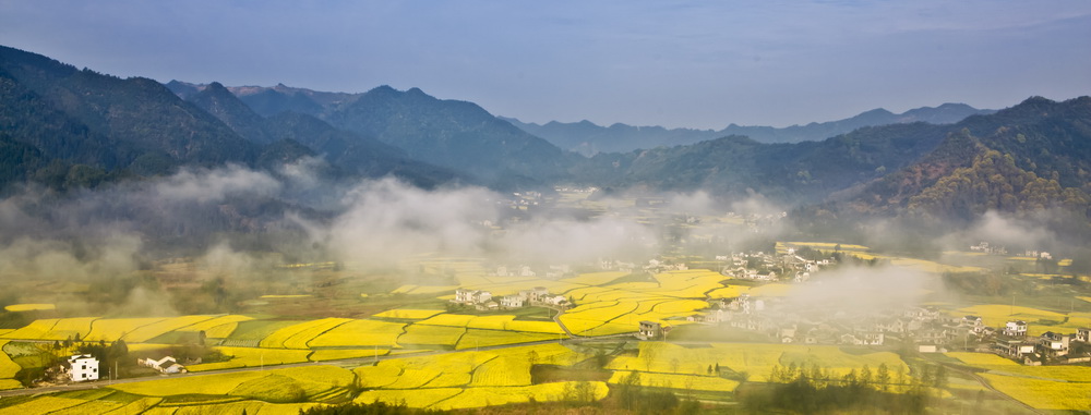 梦回田园 摄影 西北的四川人