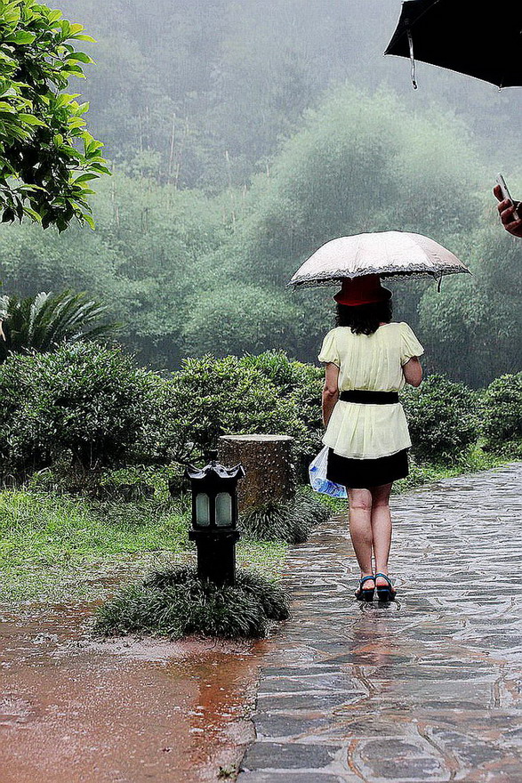 行雨中 摄影 沧海一粟548