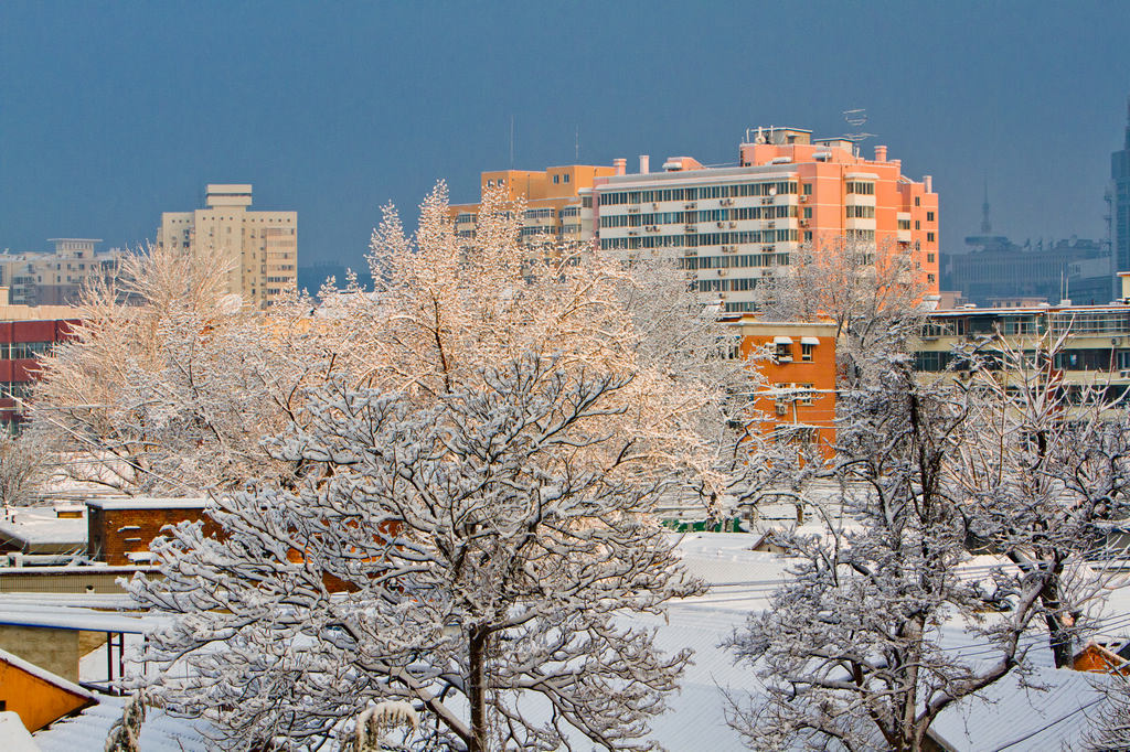 晨光春雪 摄影 qxs