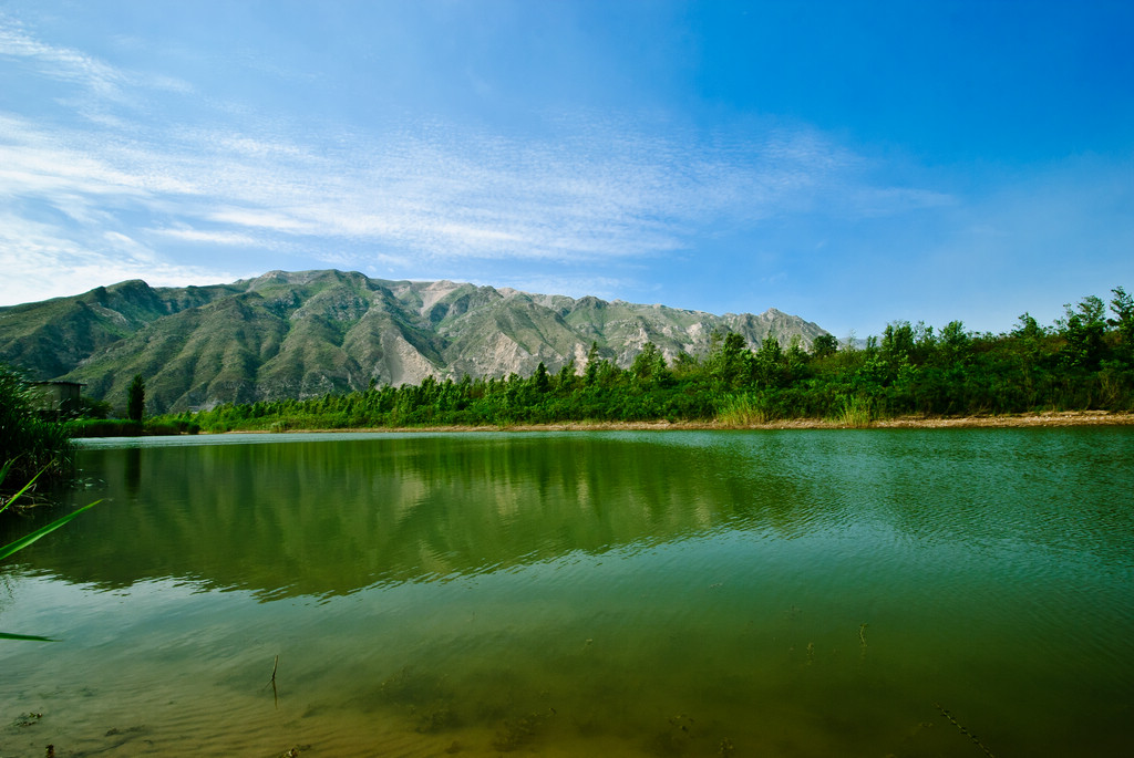 黄河湿地 摄影 摔跟头