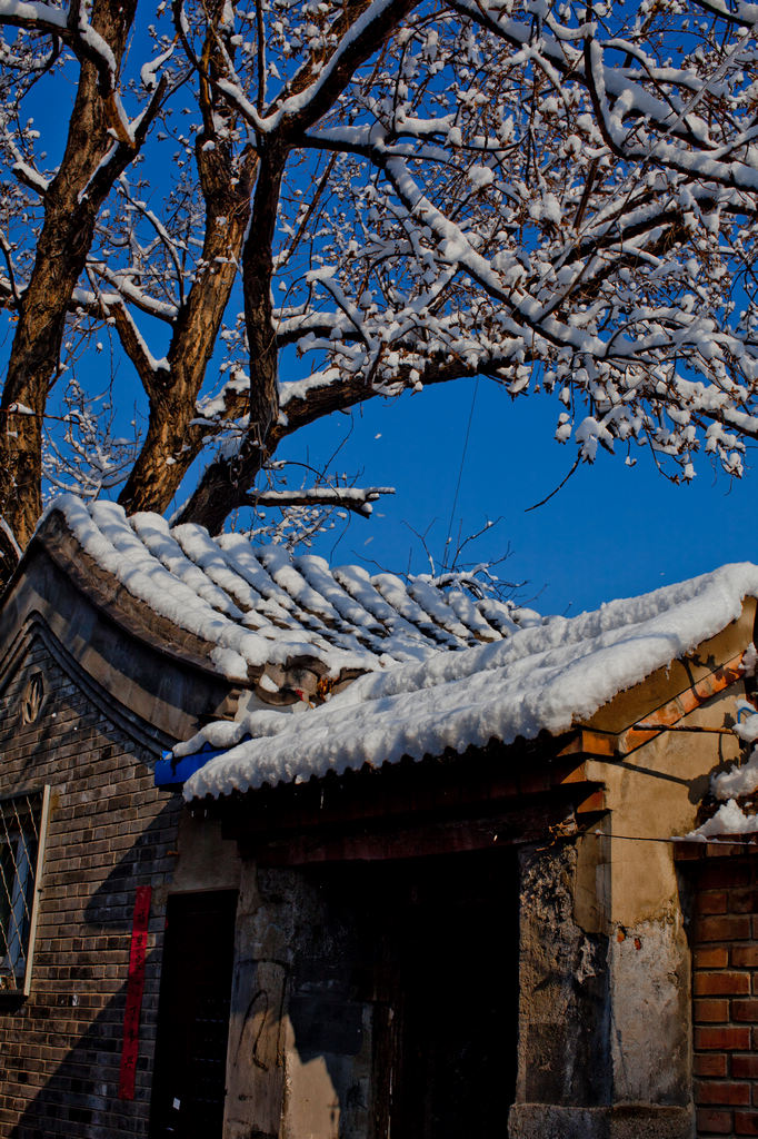 雪后胡同的晨光 摄影 楚天舒