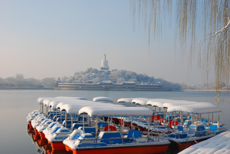 雪后 摄影 泰和居士