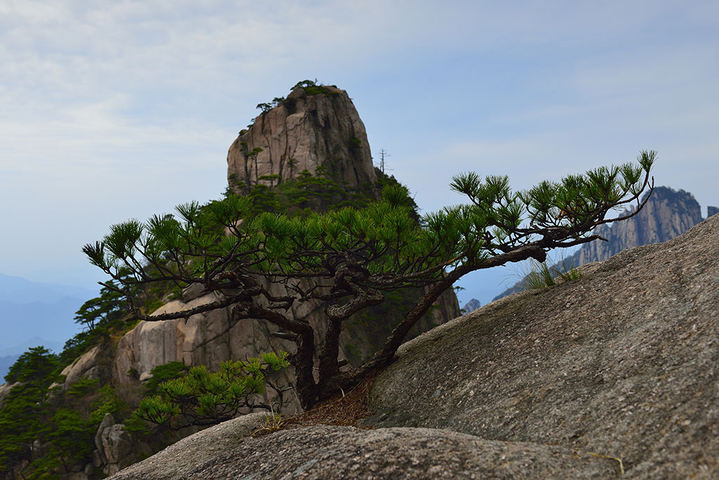 黄山 摄影 浪士