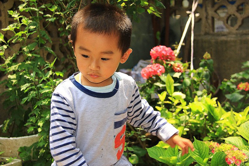 靓仔  3 摄影 清风水波