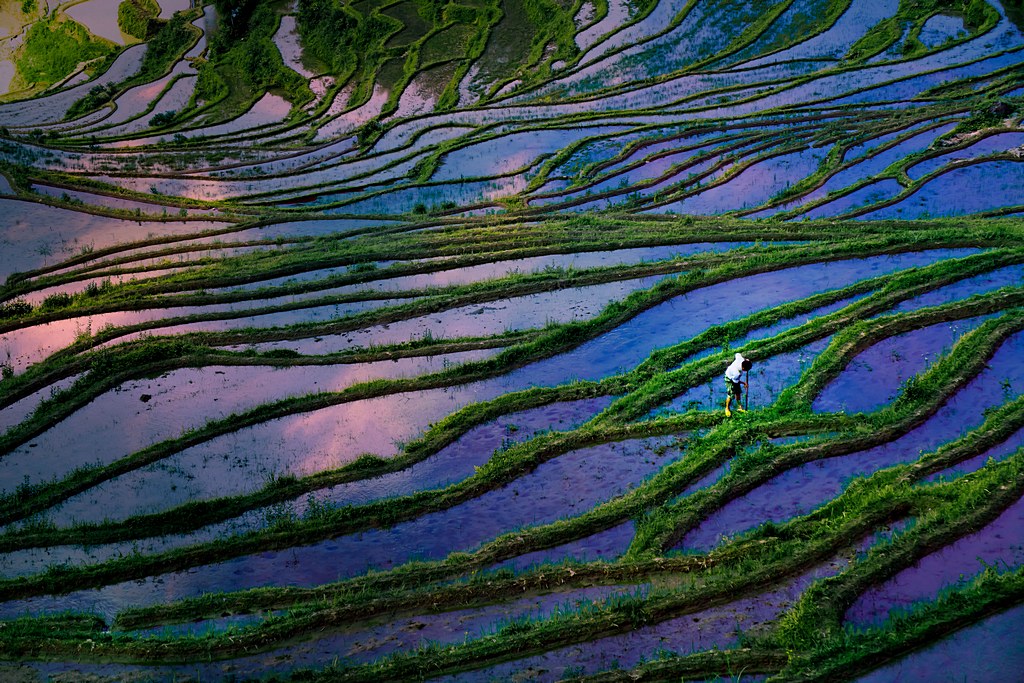 锦绣大地 摄影 玉月