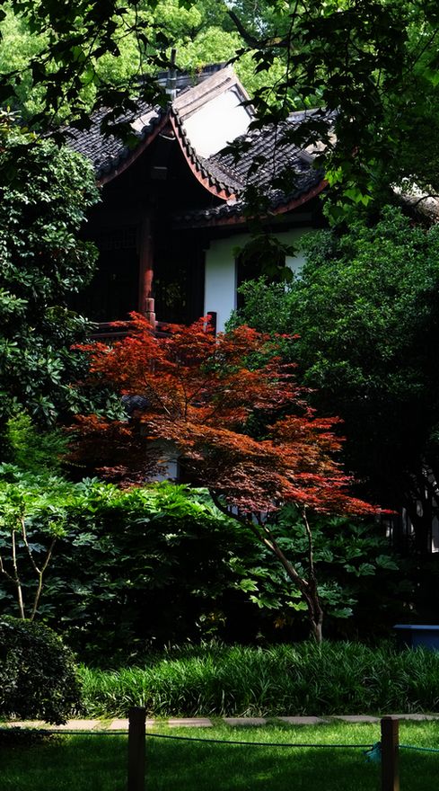  Landscape photography on the edge of the West Lake