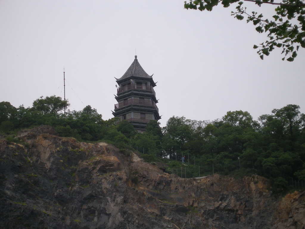 上海辰山植物园 摄影 开心天天