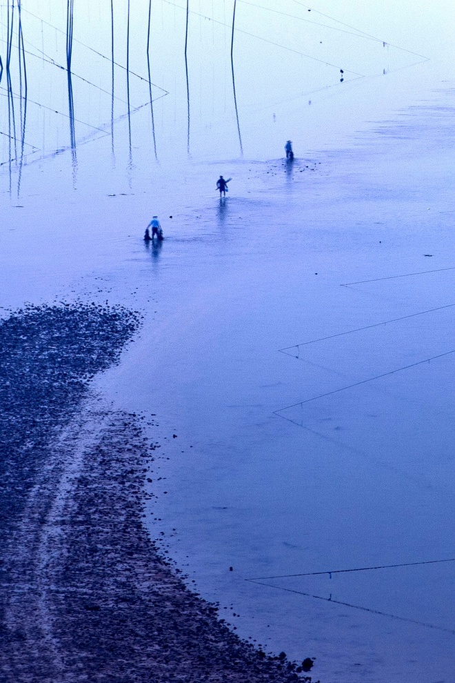 赶海 摄影 山野榕树