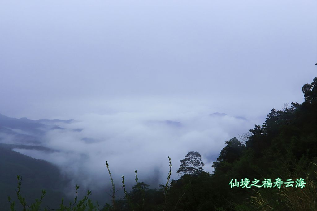 福寿云海 摄影 深秋的雨