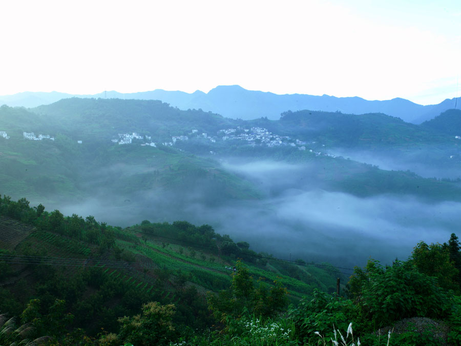 晨雾 摄影 hufusheng