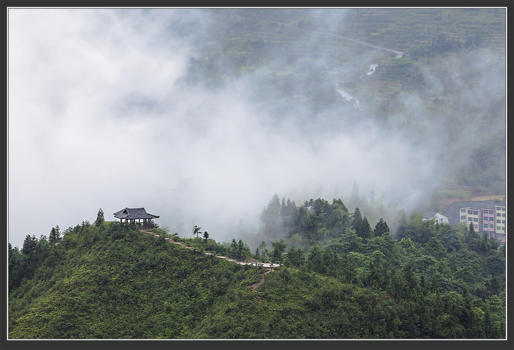 茗岙云雾_2 摄影 荒砂