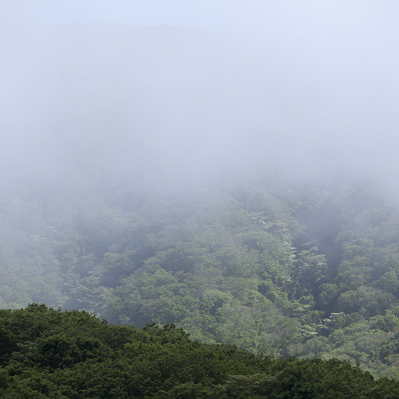 雨初晴 摄影 dacheng