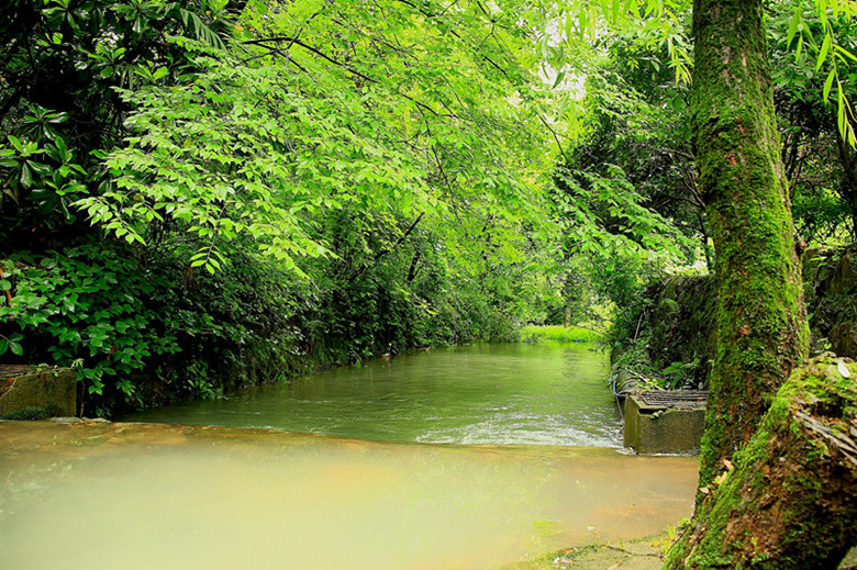 小河淌水 摄影 清风水波