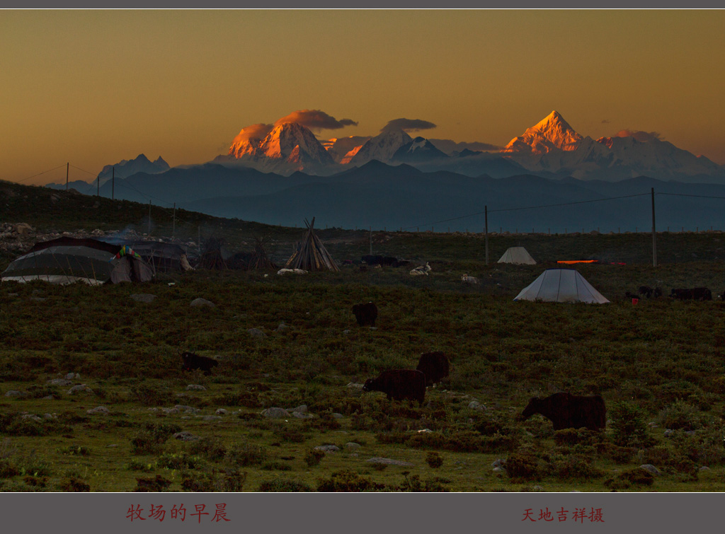 牧场的早晨 摄影 天地吉祥